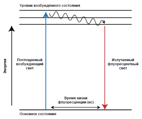 УЛЬТРАФИОЛЕТОВЫЕ КАМЕРЫ COROCAM