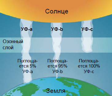 УЛЬТРАФИОЛЕТОВЫЕ КАМЕРЫ COROCAM